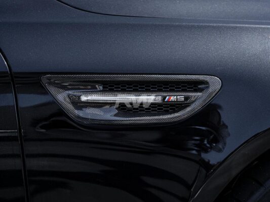RW Carbon BMW F10 M5 Carbon Fiber Fender Grilles