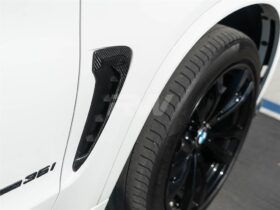 RW Carbon F15 X5 F85 X5M Carbon Fiber Fender Trims for BMW X Series - Image 2