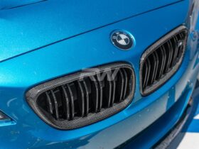 RW Carbon F22 F23 F87 Carbon Fiber Grilles for BMW M2 - Image 3