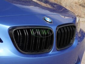 RW Carbon F22 F23 F87 Carbon Fiber Grilles for BMW M2 - Image 4