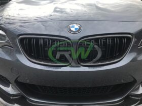 RW Carbon F22 F23 F87 Carbon Fiber Grilles for BMW M2 - Image 5
