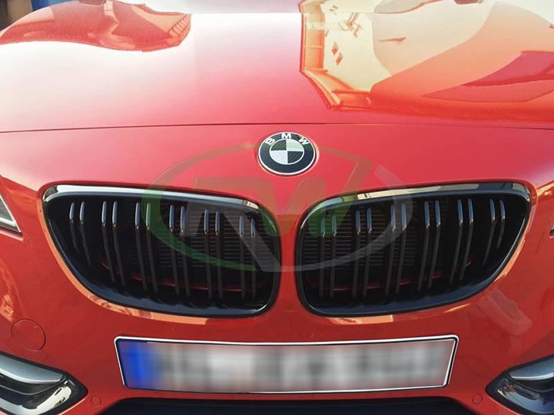 RW Carbon 2016-2021 BMW F22 F23 F87 Double Slat Gloss Black Grilles - Image 4