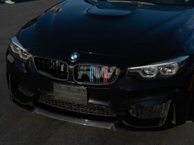 RW Carbon F32 F33 F36 F80 F82 Carbon Fiber Grilles for BMW M3 - Image 3