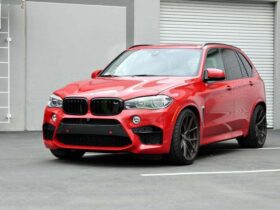 RW Carbon F85 X5M F86 X6M Carbon Fiber Front Bumper Trim - Image 4