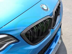 RW Carbon F87 M2 Competition Carbon Fiber Grille Replacement for BMW M2 - Image 3