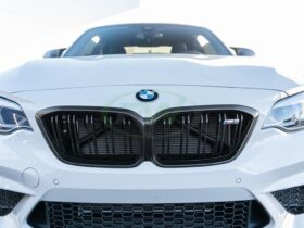 RW Carbon F87 M2 Competition Carbon Fiber Grille Replacement for BMW M2 - Image 7