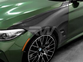 RW Carbon 2016-2021 BMW F87 M2/M2C Carbon Fiber Fenders