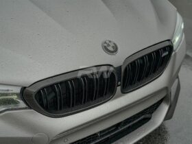 RW Carbon F90 M5 Carbon Fiber Grille Surrounds for BMW M5 - Image 2