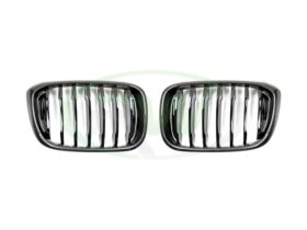 RW Carbon 2018-2025 BMW G01 X3 G02 X4 Carbon Fiber Grilles