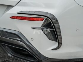 RW Carbon G14 G15 G16 Carbon Fiber Rear Bumper Trims - Image 2