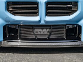 RW Carbon G87 M2 ABS Mesh Lower Grille Guard for BMW M2 - Image 3