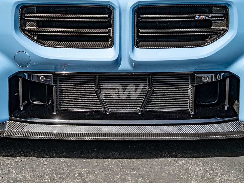 RW Carbon 2023-2026 BMW G87 M2 ABS Mesh Lower Grille Guard - Image 3
