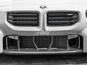 RW Carbon G87 M2 OE Style Carbon Fiber Center Front Bumper Trim for BMW M2 - Image 3