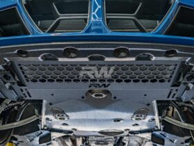 RW Carbon G8X M2/M3/M4 Oil Cooler Guard for BMW M3 - Image 2
