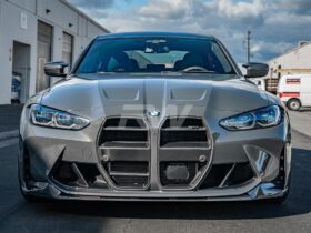 RW Carbon G8X M3/M4 DTM Carbon Fiber Grilles for BMW M3 - Image 2
