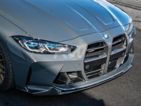 RW Carbon G8X M3/M4 DTM Carbon Fiber Grilles for BMW M3 - Image 4