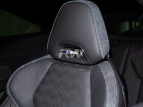 RW Carbon M Carbon Fiber Seat Emblem Cover for BMW M5 - Image 3