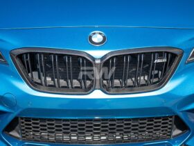 RW Carbon 2019-2021 BMW F87 M2 Competition Carbon Fiber G...