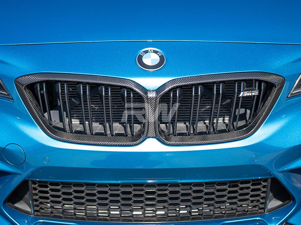 RW Carbon 2019-2021 BMW F87 M2 Competition Carbon Fiber Grille Replacement
