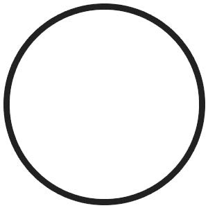 BMS Replacement N54/N55 Charge Pipe O-Ring/Gasket (E and F chassis)