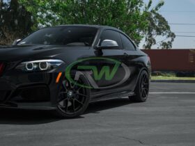RW Carbon F22 F23 Carbon Fiber Side Skirt Extensions - Image 10