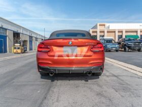 RW Carbon F22 F23 Exotics Style Carbon Fiber Rear Diffuser - Image 3