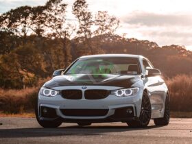 RW Carbon F30/F32 GTS Style Carbon Fiber Hood for BMW 3 Series - Image 10
