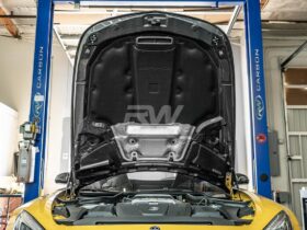 RW Carbon C190 R190 RWS Carbon Fiber Hood for AMG GT - Image 15