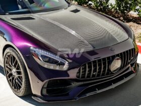 RW Carbon C190 R190 RWS Carbon Fiber Hood for AMG GT