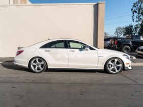 RW Carbon W218 CLS Carbon Fiber Side Skirt Extensions - Image 4