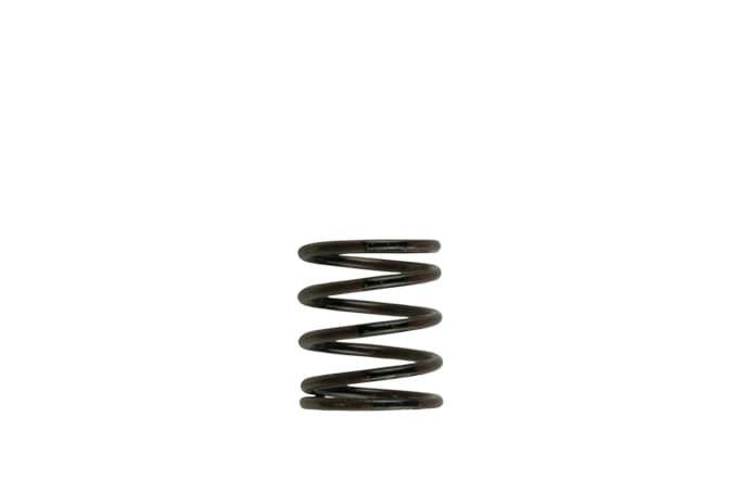Turbosmart Gen4 Iwg/Wg38/40/45/50L 3Psi Inner Spring - Brown/Black