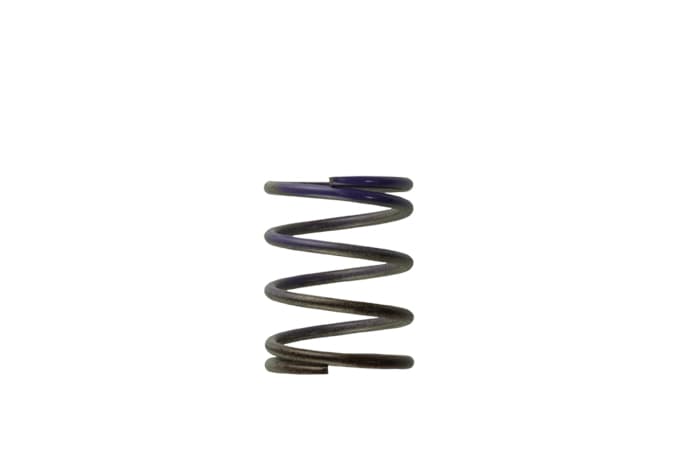 Turbosmart Gen4 IWG Wg38/40/45/50L 7Psi Middle Spring - Brown/Purple