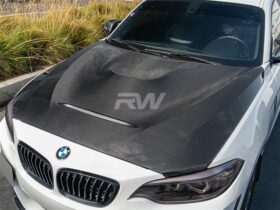 RW Carbon 2020-2024 BMW 1 Series F20 F22 F87 M2 GTS Style...