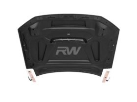 Brand: Audi RS6 C8 Avant Dry Carbon Fiber Hood