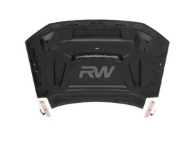 Brand: Audi RS6 C8 Avant Dry Carbon Fiber Hood