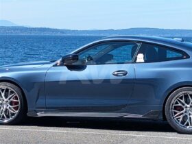 RW Carbon BMW 4 Series G22 G23 DTM Carbon Fiber Side Skir...