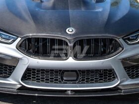 Brand: BMW 8 Series M8 / 8 Series Dual Slat Carbon Fiber Grille