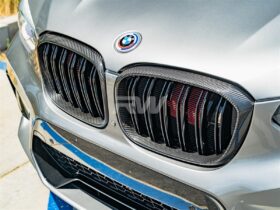 RW Carbon BMW G01 G02 F97 F98 Pre LCI Dual Slat CF Grilles