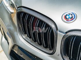 Brand: BMW G01 G02 F97 F98 Pre LCI Dual Slat CF Grilles