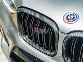 Brand: BMW G01 G02 F97 F98 Pre LCI Dual Slat CF Grilles