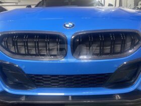 Brand: BMW G29 Z4 Dual Slat Carbon Fiber Grilles