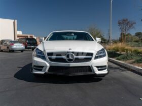 Brand: Mercedes-Benz Mercedes W218 CLS Renn Style Carbon Fiber Front Lip