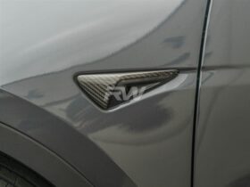 Brand: Tesla Model 3 / Y Carbon Fiber Fender Trims