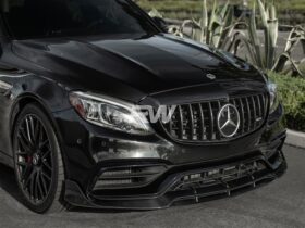 RW Carbon W205 C63 BRS Style Carbon Fiber Front Lip