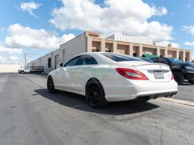 RW Carbon W218 CLS63 AMG Carbon Fiber Diffuser - Image 11