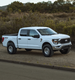 ZL1 Addons F-150 Big-D Tow Hooks for Ford F-150 - Image 7
