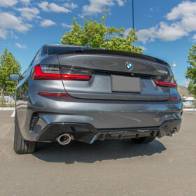 EOS 2019-Up BMW G20 3-Series M-Performance Rear Bumper Diffuser - image 2