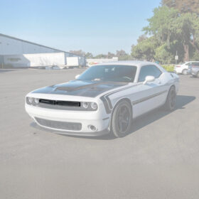 EOS 2015-23 Dodge Challenger Front Bumper Grille Trim Insert Overlay - Image 2