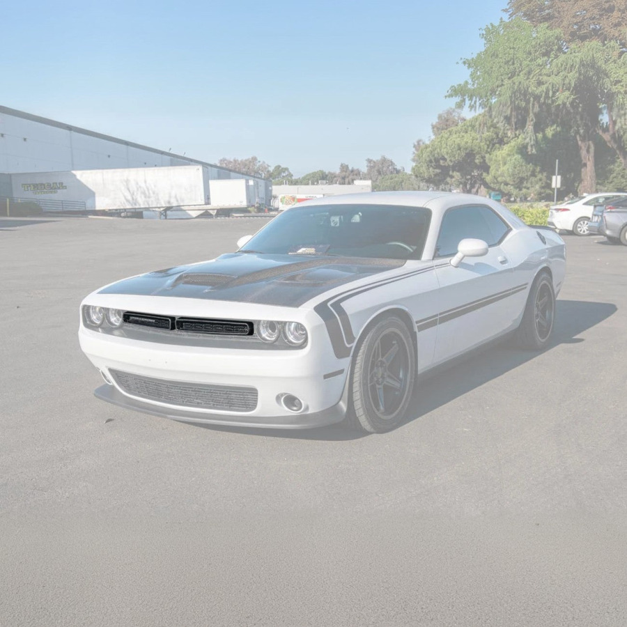 EOS 2015-23 Dodge Challenger Front Bumper Grille Trim Insert Overlay - Image 2