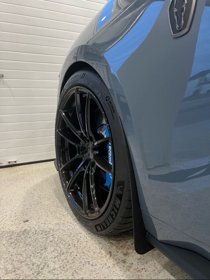 ZL1 Addons Mustang GT/ECO & Performance Pack Deluxe Rock Guards for Ford Mustang